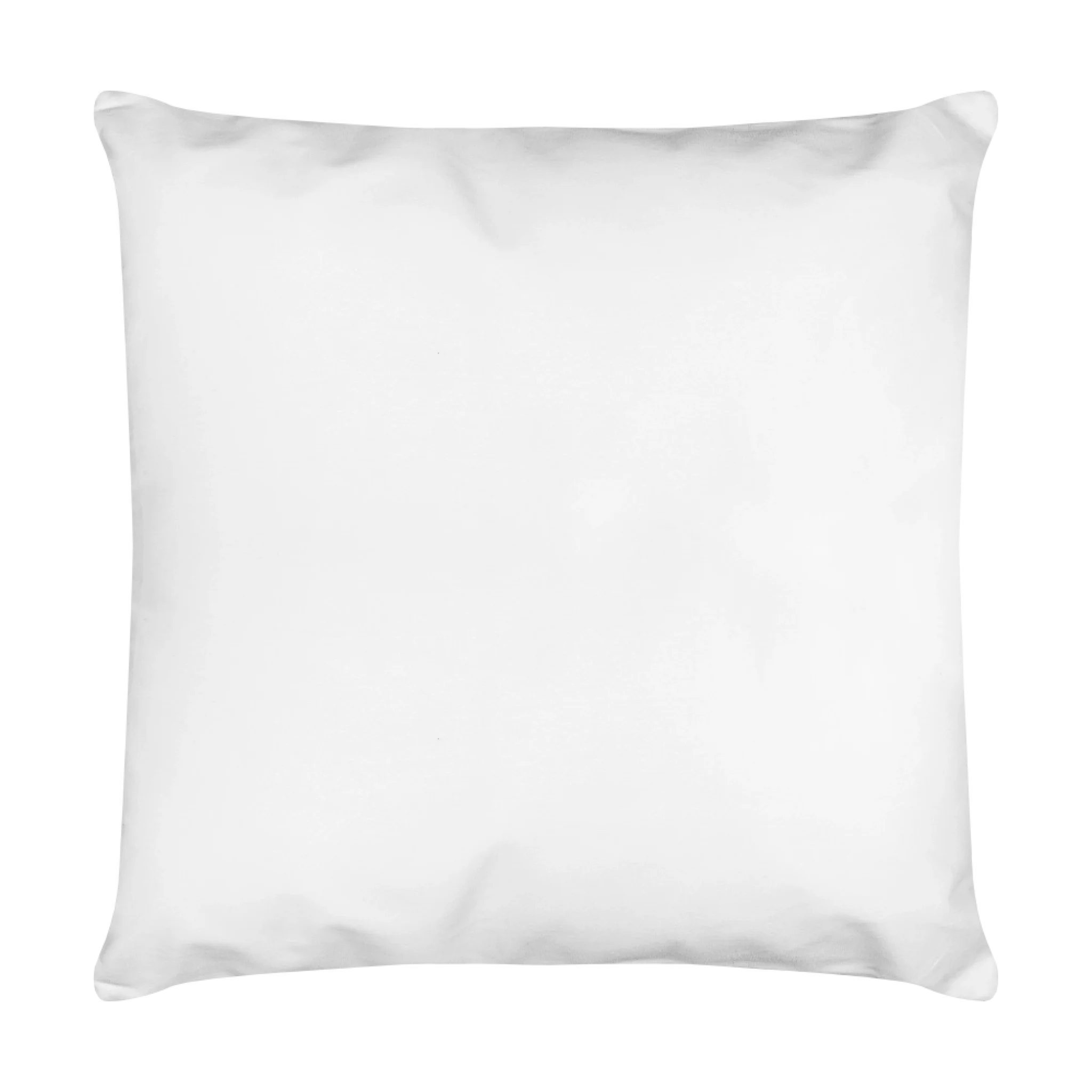 pillow_v6_back